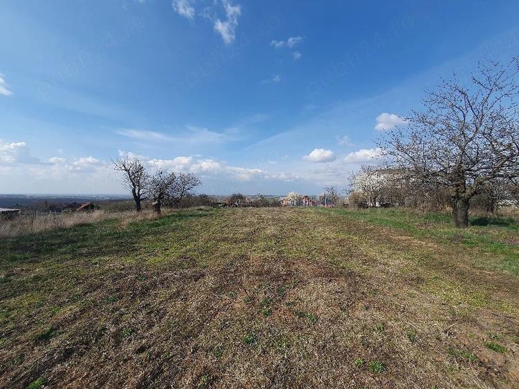Teren de 1000 mp, în Săldăbagiu de Munte