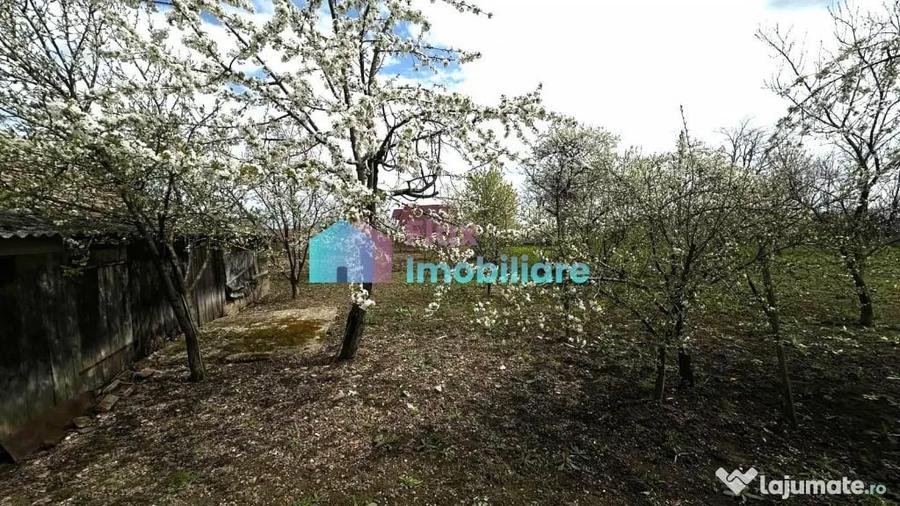 Casă cu 3 camere cu Teren 1410 Mp în Dumbrăveni