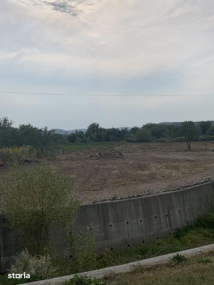 Teren de 6000 mp, în Budacu de Jos