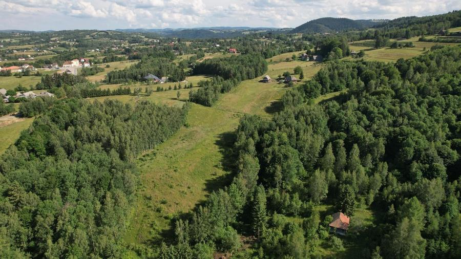 Teren Construcții de 38781 mp, în Râșca