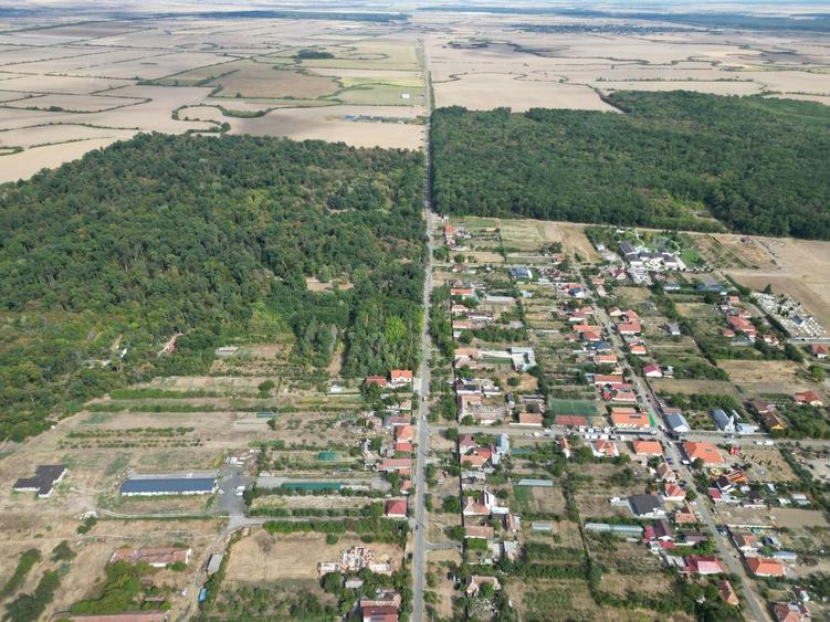 Teren Construcții intravilan de 2633 mp, în Bazoșu Nou