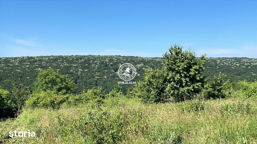 Teren de 7400 mp, în Ciurea