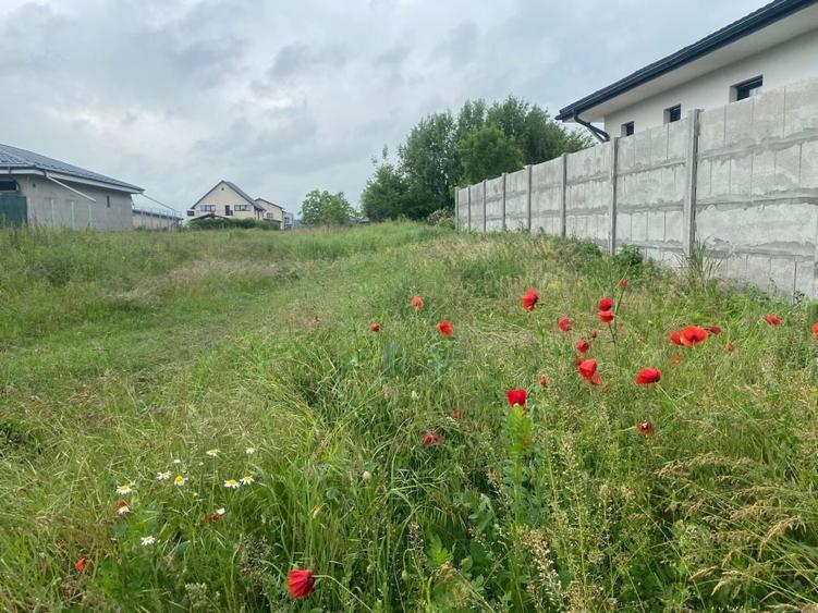 Teren Construcții intravilan de 1800 mp, în Brănești
