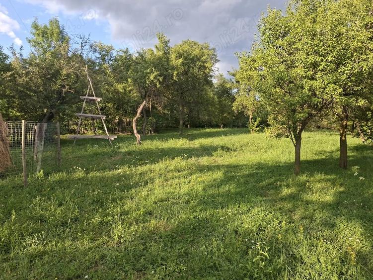 Teren de 5524 mp, în Poiana