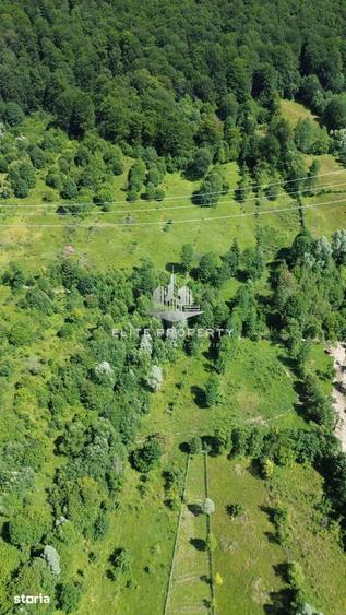 Vanzare Teren | 3.300 MP | Valea Doftanei - 15