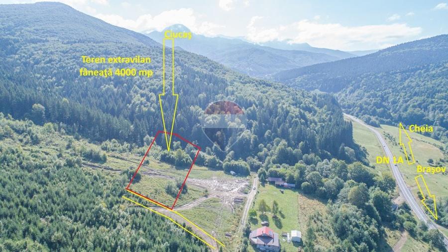 Teren Construcții extravilan de 4000 mp, în Babarunca