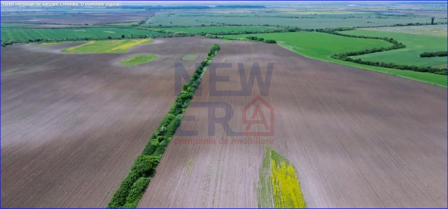 Teren Construcții intravilan de 82757 mp, în Crevedia