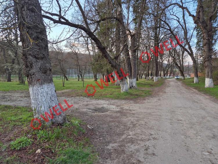 Teren Construcții intravilan de 3125 mp, în Vâlcele
