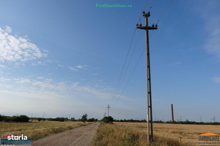Teren 8100mp langa noua Centura Vladimirescu-Sinicolau si Fantanele - 1