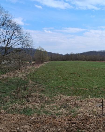 Teren agricol intravilan de 5600 mp, în Romita