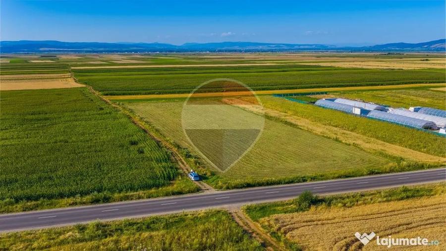COMISION 0% | Teren intravilan 7.500 mp | Tarlungeni, Brasov - Tarlungeni (Brasov) - 3