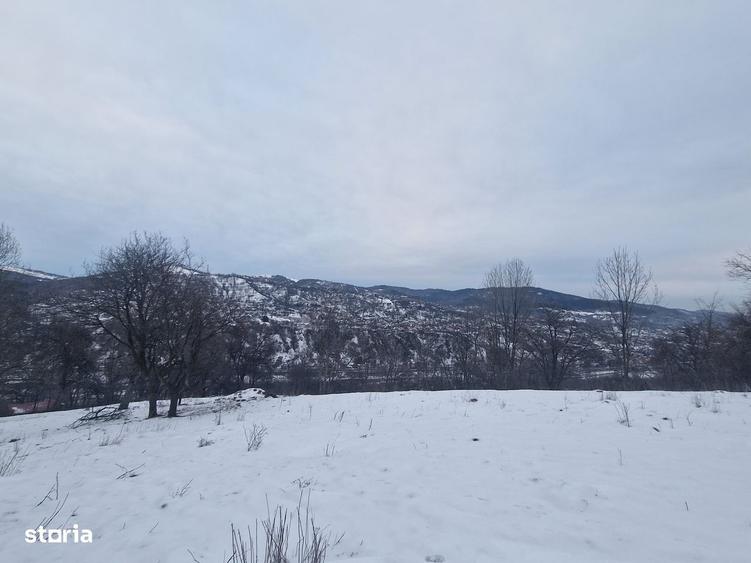Casă cu 4 camere cu Teren 12000 Mp în Central