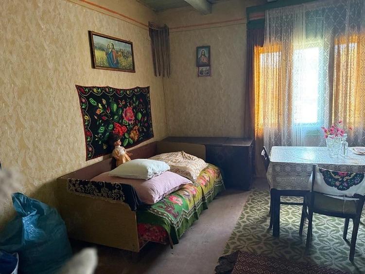 Casa cu teren, de vanzare in Comuna BARA - 1