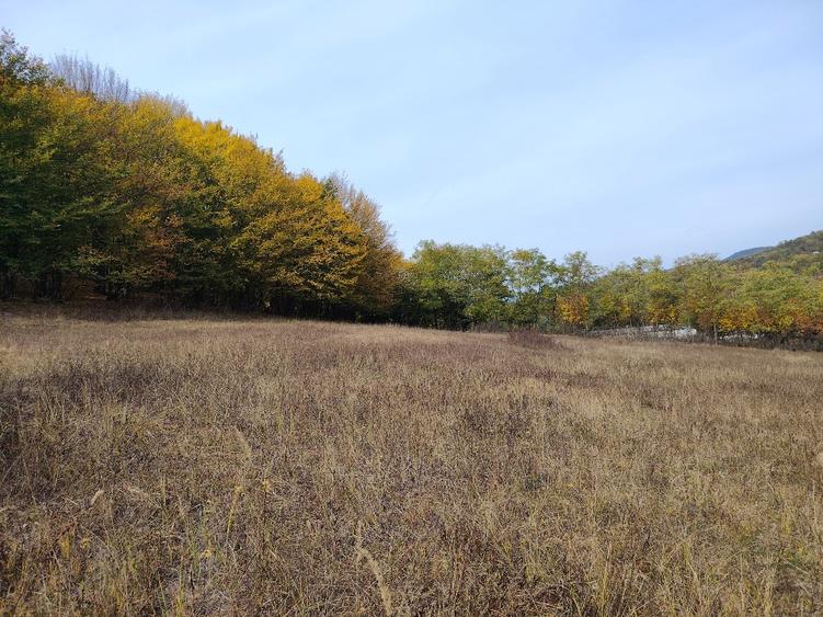 Teren agricol extravilan de 7043 mp, în Mihăești