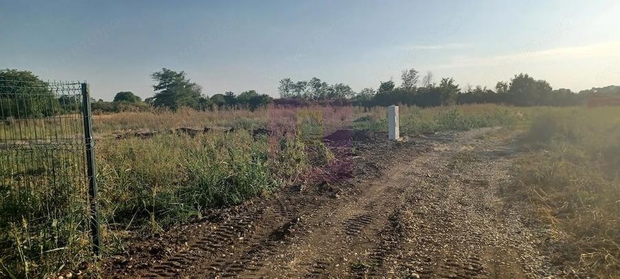 Teren de 500 mp, în Săbăreni