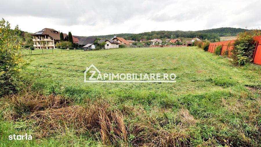Teren Intravilan 5400 mp Corunca Valea Iubirii - 8