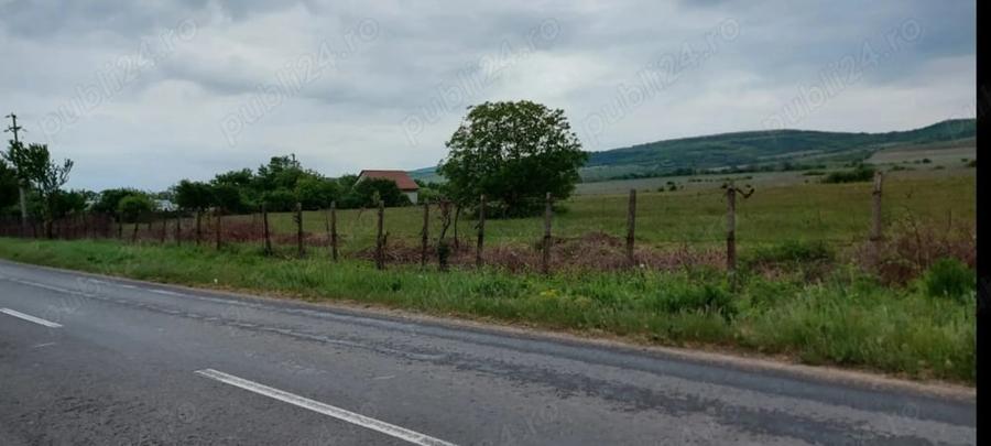 Teren de 11780 mp, în Merei