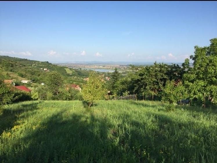 Teren intravilan de 1765 mp, în Podgoria