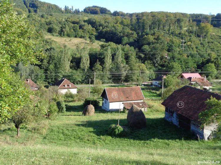 Casă individuală cu 2 camere cu Teren 14368 Mp în Valea Bradului