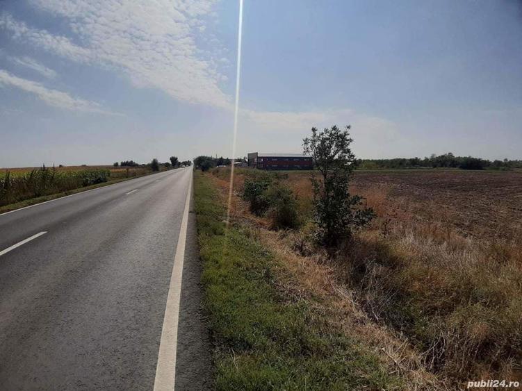 Teren de 5000 mp, în Central