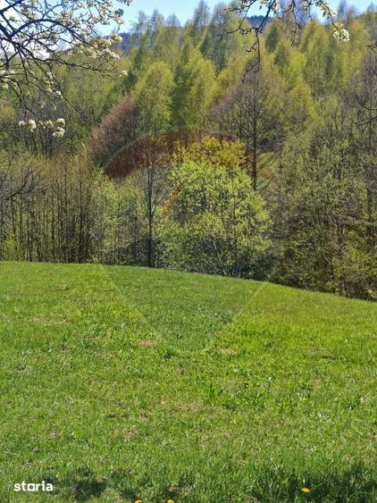 Ocazie! Teren 9735 mp Bran- Predelut / Strada Pe Tarina nr. 70A - 18