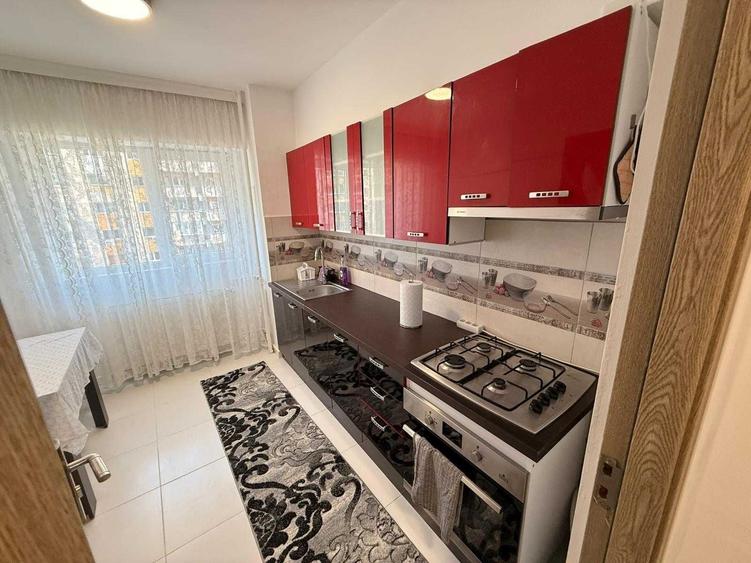 Inchiriere apartament 2 camere Calea Mosilor - 7