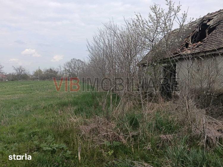 Teren de 2650 mp, în Pădureni
