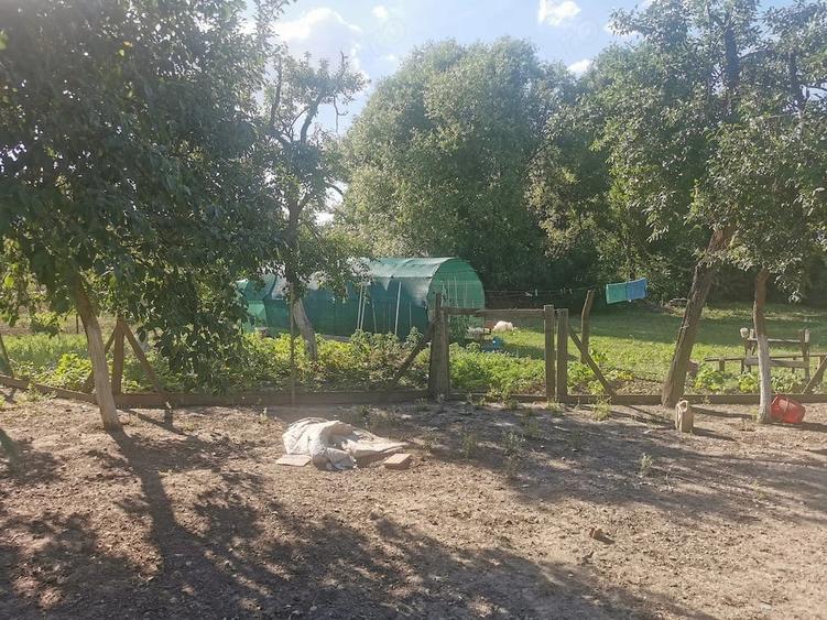 Casă cu Teren 2600 Mp în Ghiroda