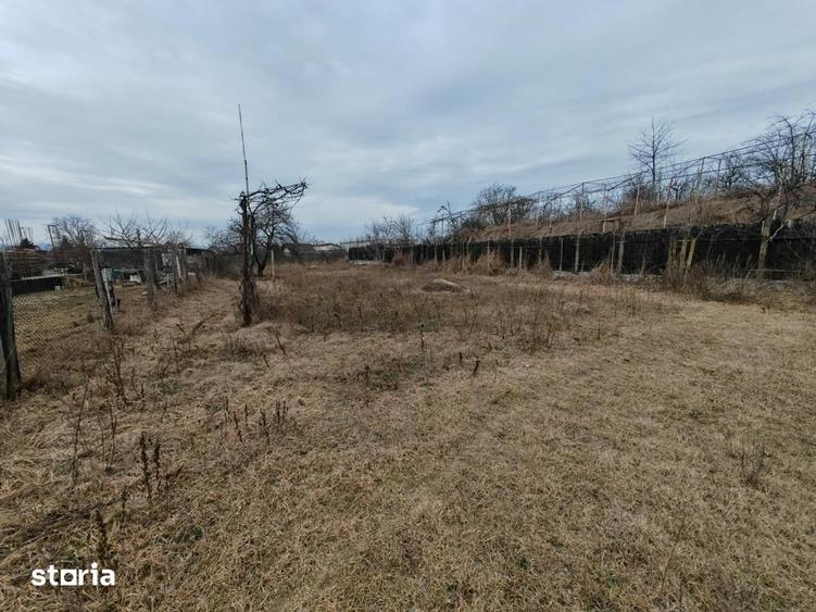 Teren de 1660 mp, în Letea Veche