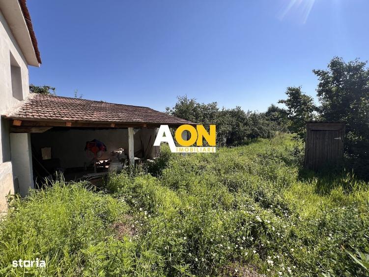 Casă cu 2 camere în Vințu de Jos