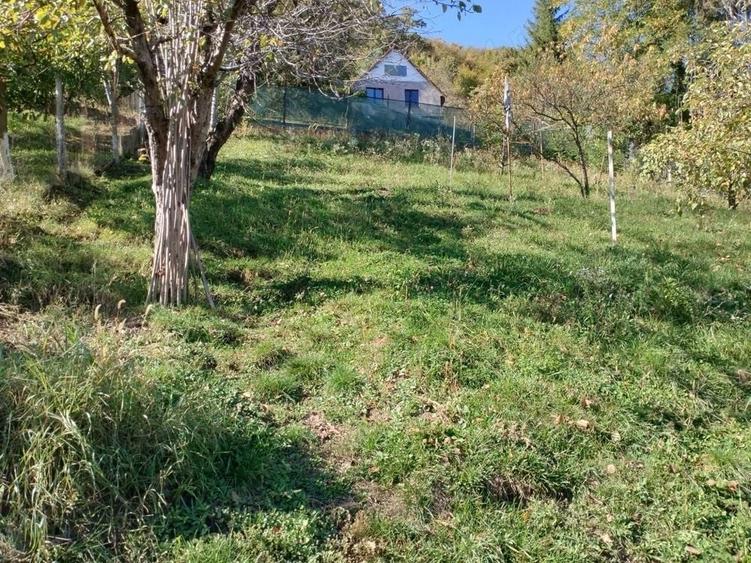 Casă cu 2 camere în Sighișoara