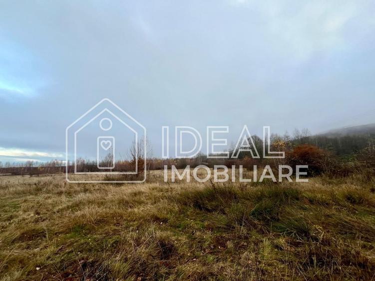 Teren agricol extravilan de 6500 mp, în Cârțișoara
