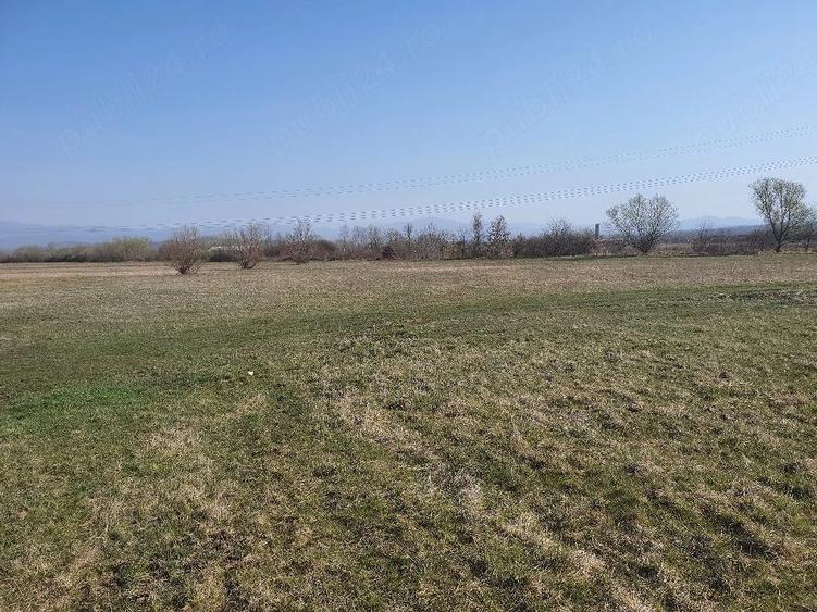Teren de 4700 mp, în Culcea