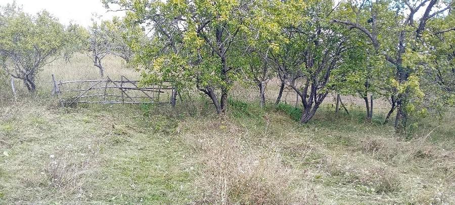 Teren de 12500 mp, în Suslănești