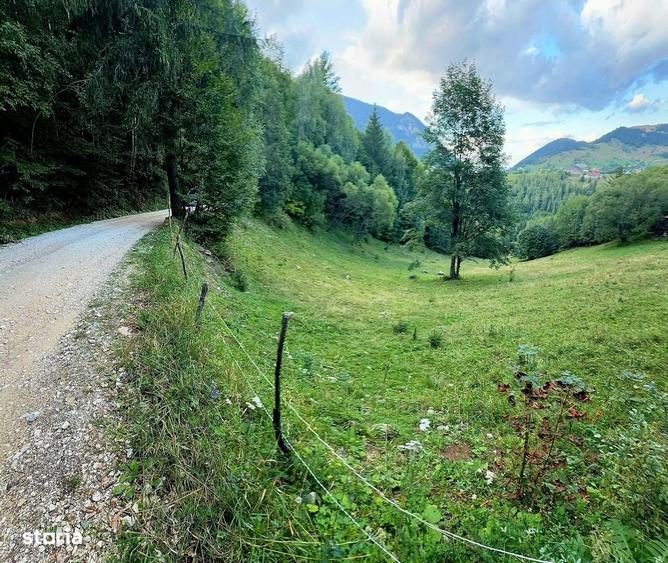 Teren investitie 8635 mp extravilan , Pestera Brasov - 2