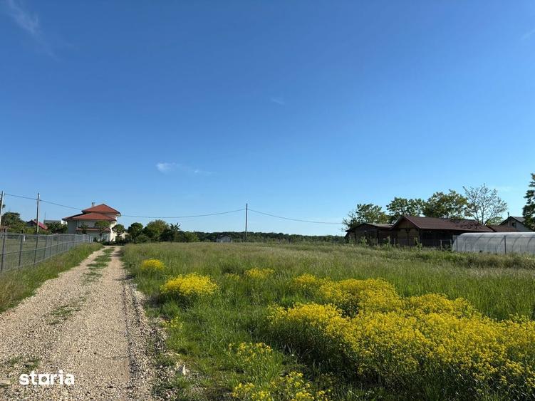 Teren de 979 mp, în Ciolpani