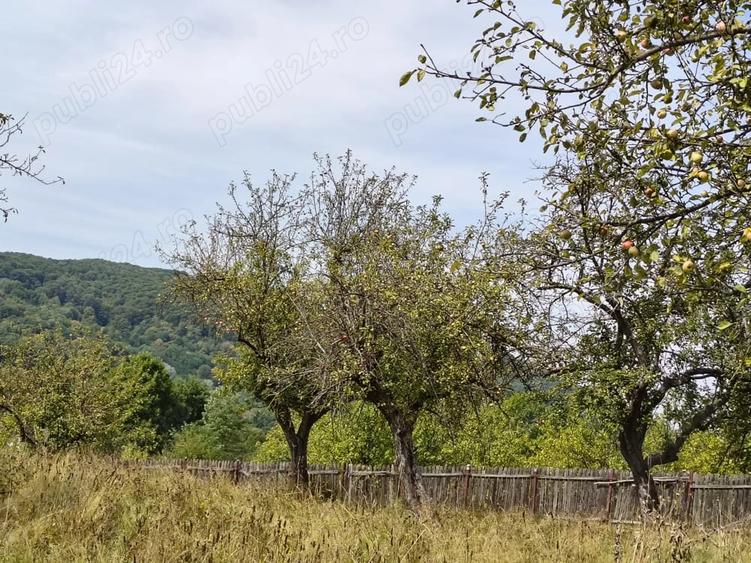 Teren de 2050 mp, în Livadea