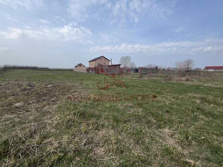 Teren Construcții intravilan de 2450 mp, în Bucovăț (Remetea Mare)