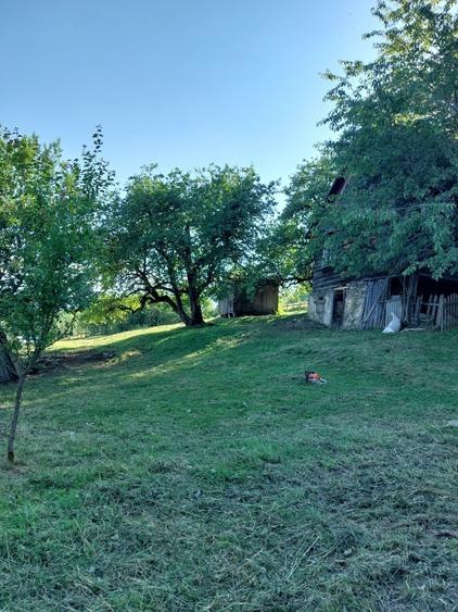 Teren de 5353 mp, în Horea
