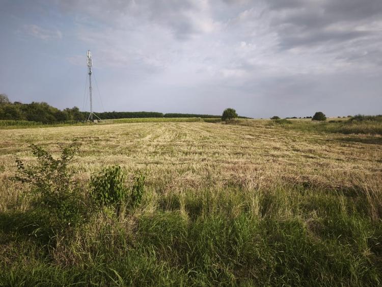 Teren Construcții intravilan de 5020 mp, în Negostina