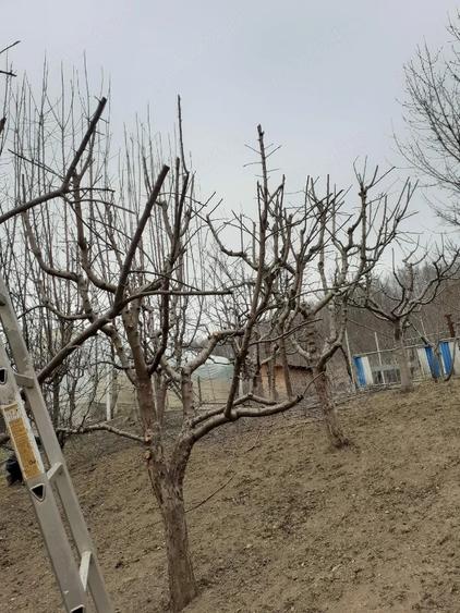 Casă cu Teren 5000 Mp în Bughea de Jos