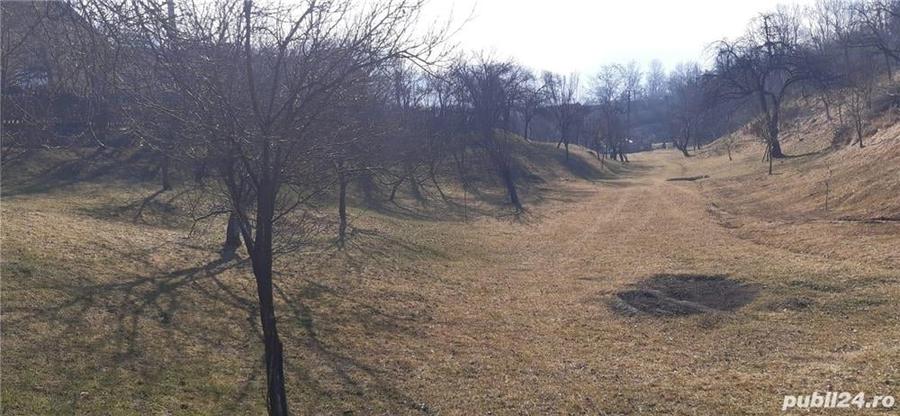 Teren în Pianu