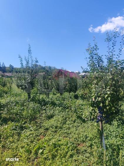 Casă cu 1 camere cu Teren 3000 Mp în Horodnic