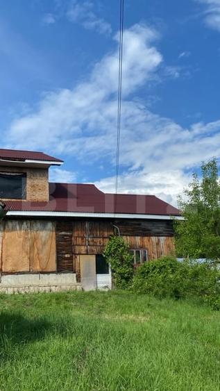 Teren Construcții intravilan de 4361 mp, în Șintereag