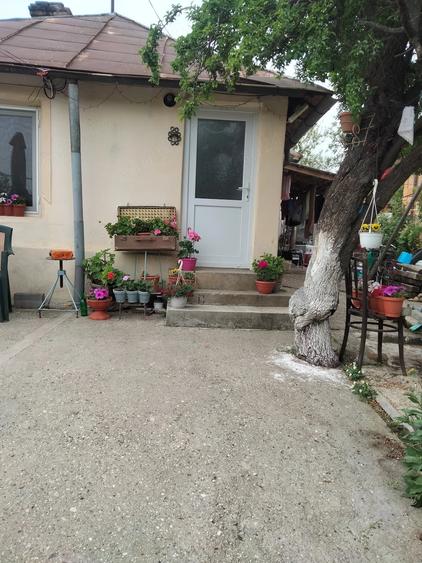 Casă cu 3 camere cu Teren 1800 Mp în Central