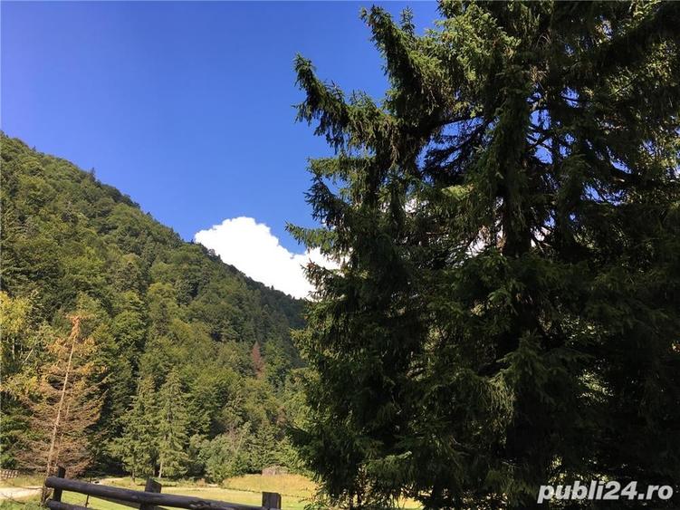 Teren de 3825 mp, în Vama Buzăului
