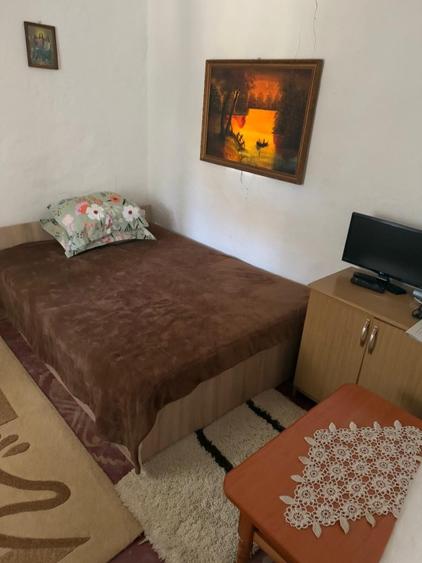Casă individuală cu 4 camere cu Teren 2700 Mp în Mihăița