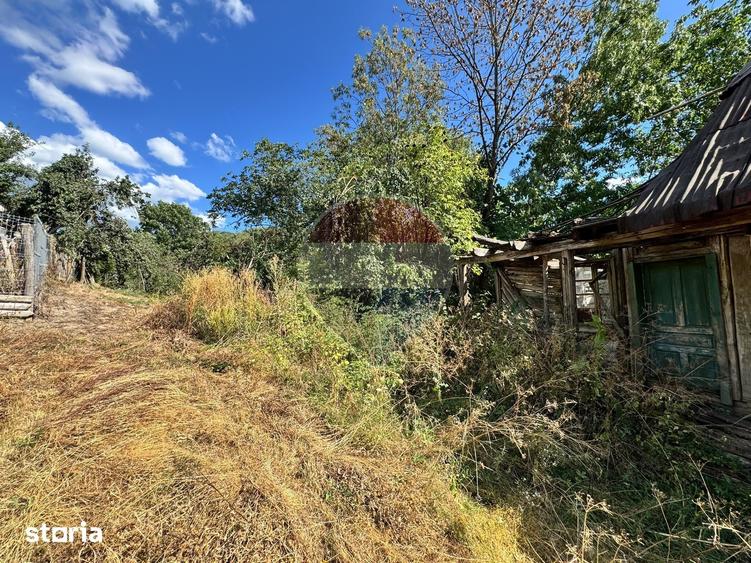 Casă cu 2 camere cu Teren 760 Mp în Hălmagiu