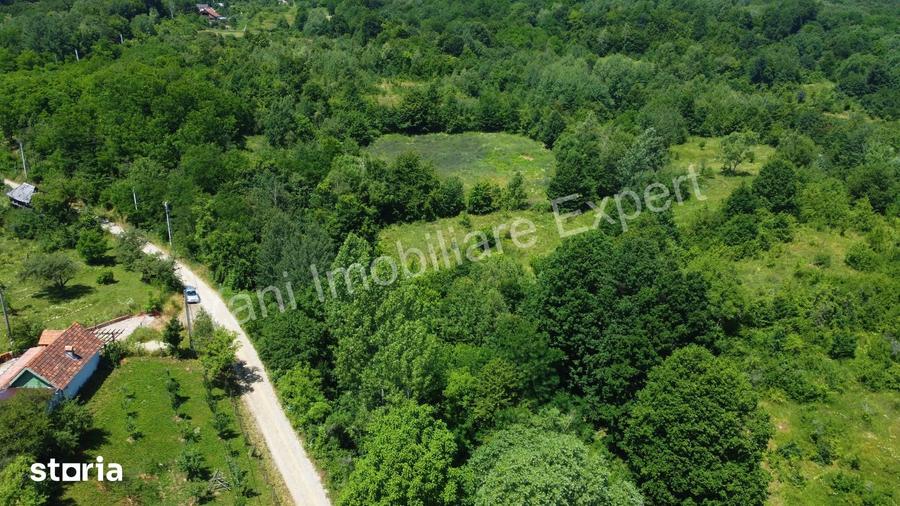 Teren de 20698 mp, în Băiculești