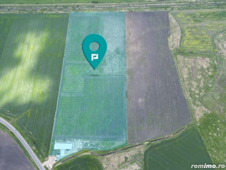 Teren de 100000 mp, în Central